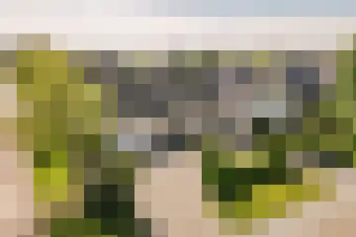 Tabaksweg 5 Harderwijk thumbnail 84