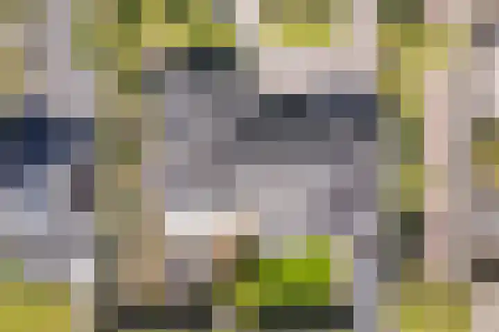 Tabaksweg 5 Harderwijk thumbnail 85