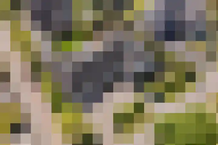 Tabaksweg 5 Harderwijk thumbnail 87