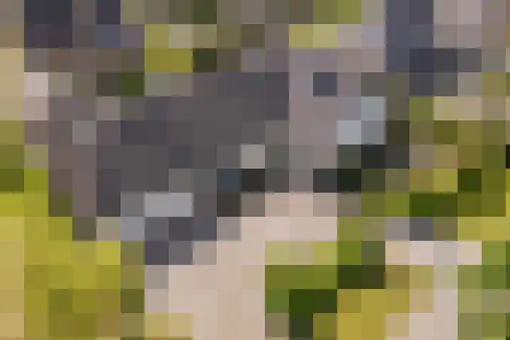 Tabaksweg 5 Harderwijk thumbnail 88