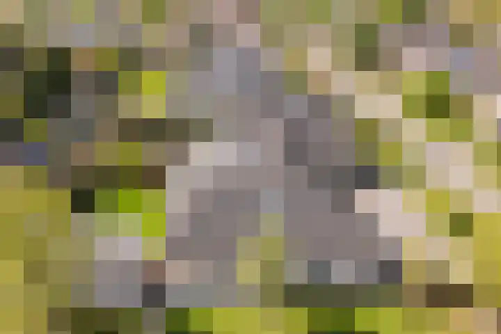 Tabaksweg 5 Harderwijk thumbnail 89