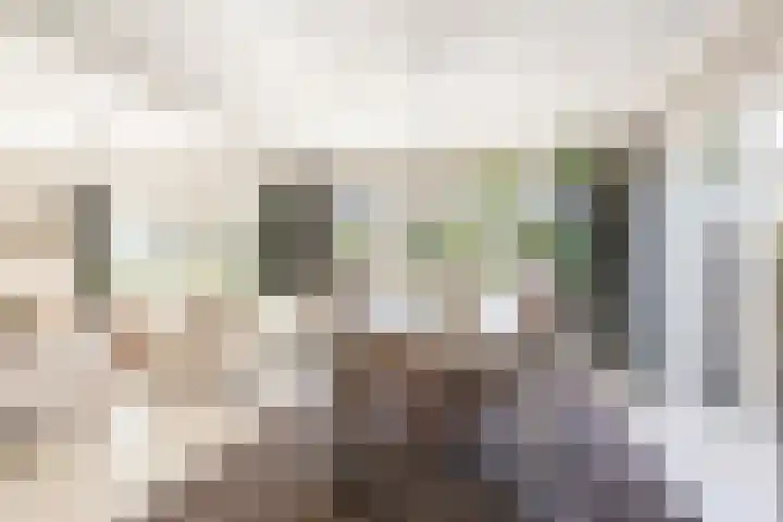 Tabaksweg 5 Harderwijk thumbnail 9
