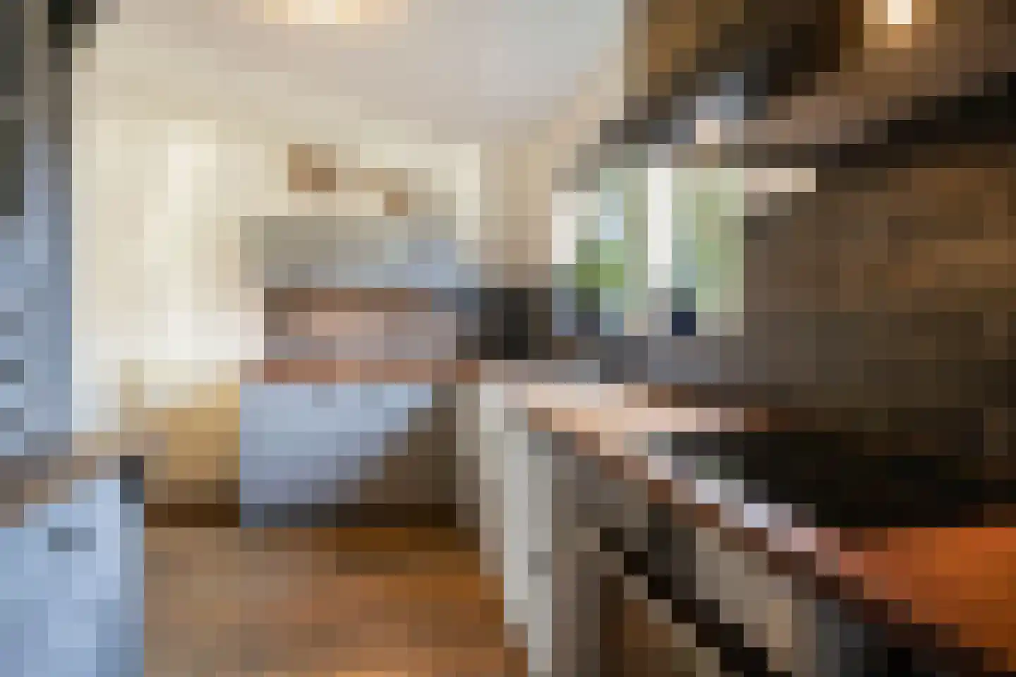 Tabaksweg 51 Elst Ut thumbnail 13