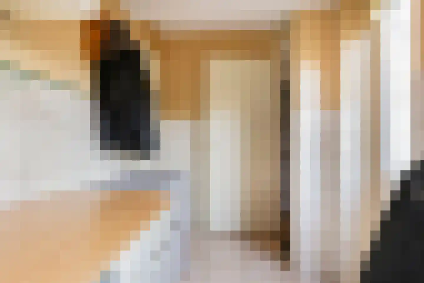 Tabaksweg 51 Elst Ut thumbnail 16