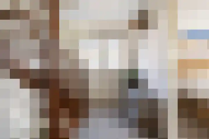 Tabaksweg 51 Elst Ut thumbnail 19
