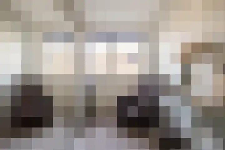 Tabaksweg 51 Elst Ut thumbnail 28