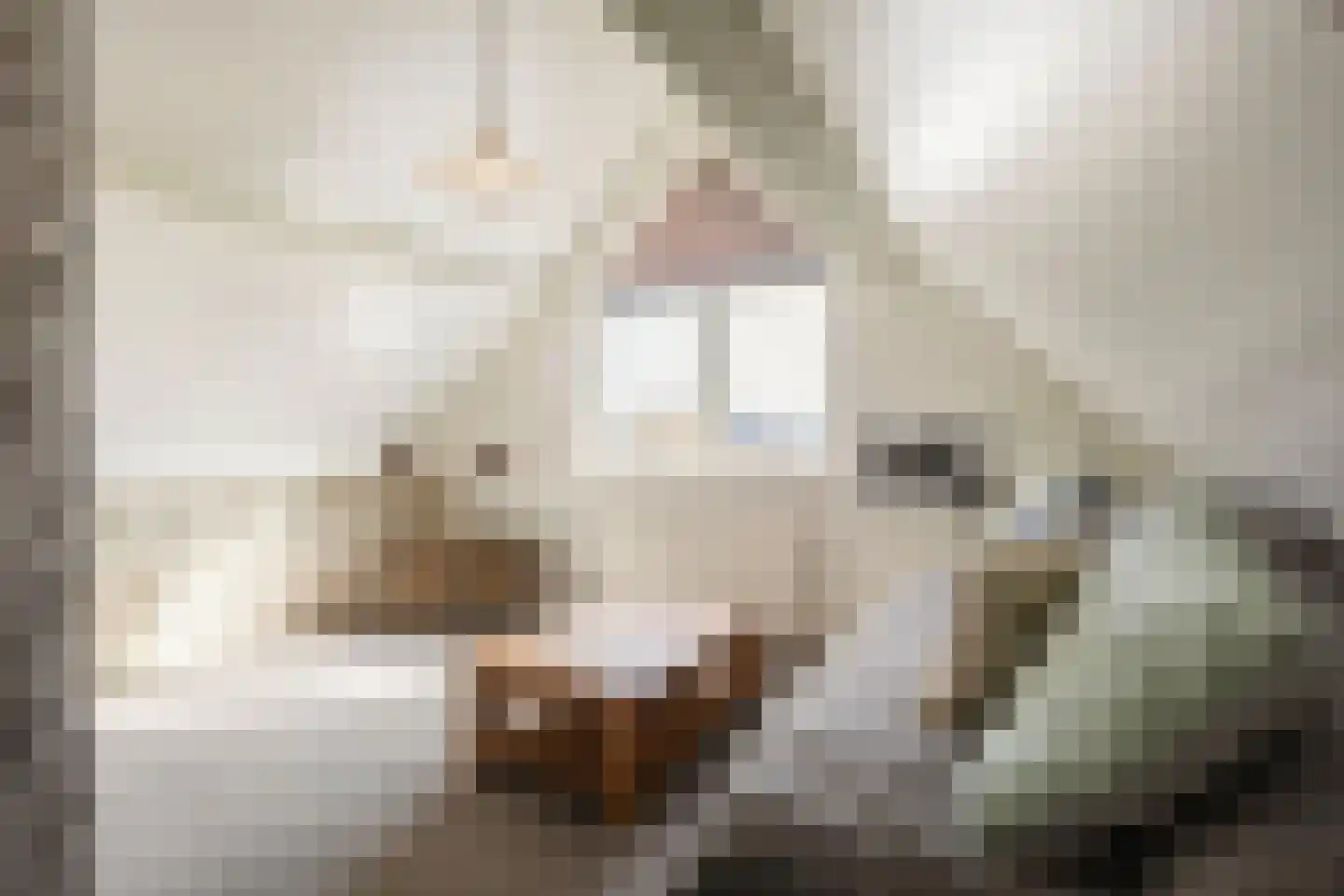 Tabaksweg 51 Elst Ut thumbnail 33