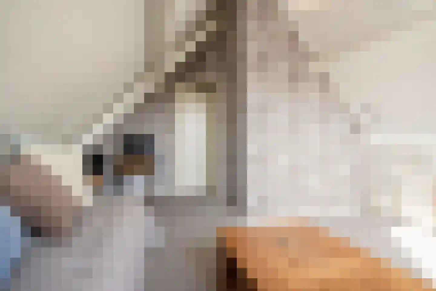 Tabaksweg 51 Elst Ut thumbnail 35