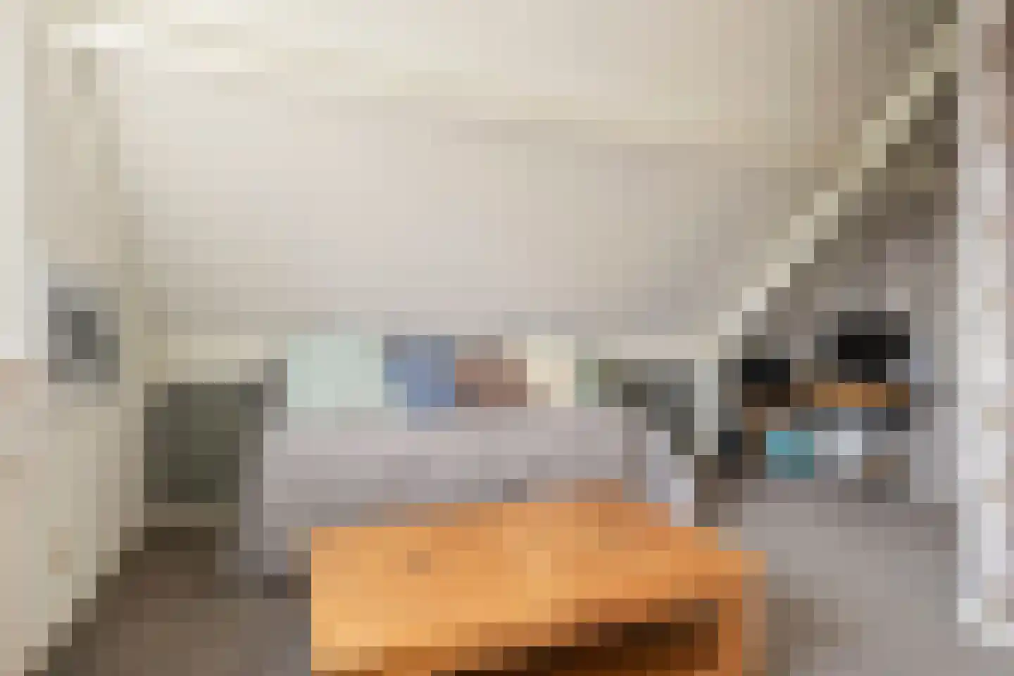 Tabaksweg 51 Elst Ut thumbnail 36