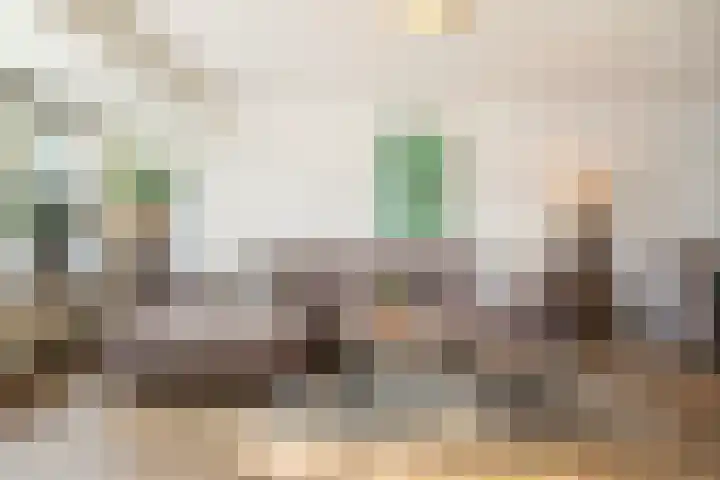 Tabaksweg 51 Elst Ut thumbnail 4