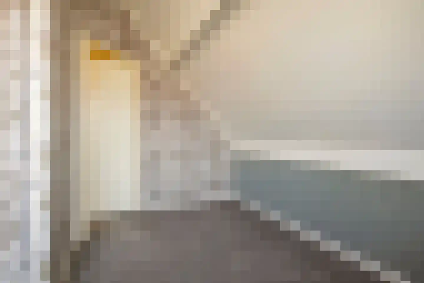 Tabaksweg 51 Elst Ut thumbnail 40