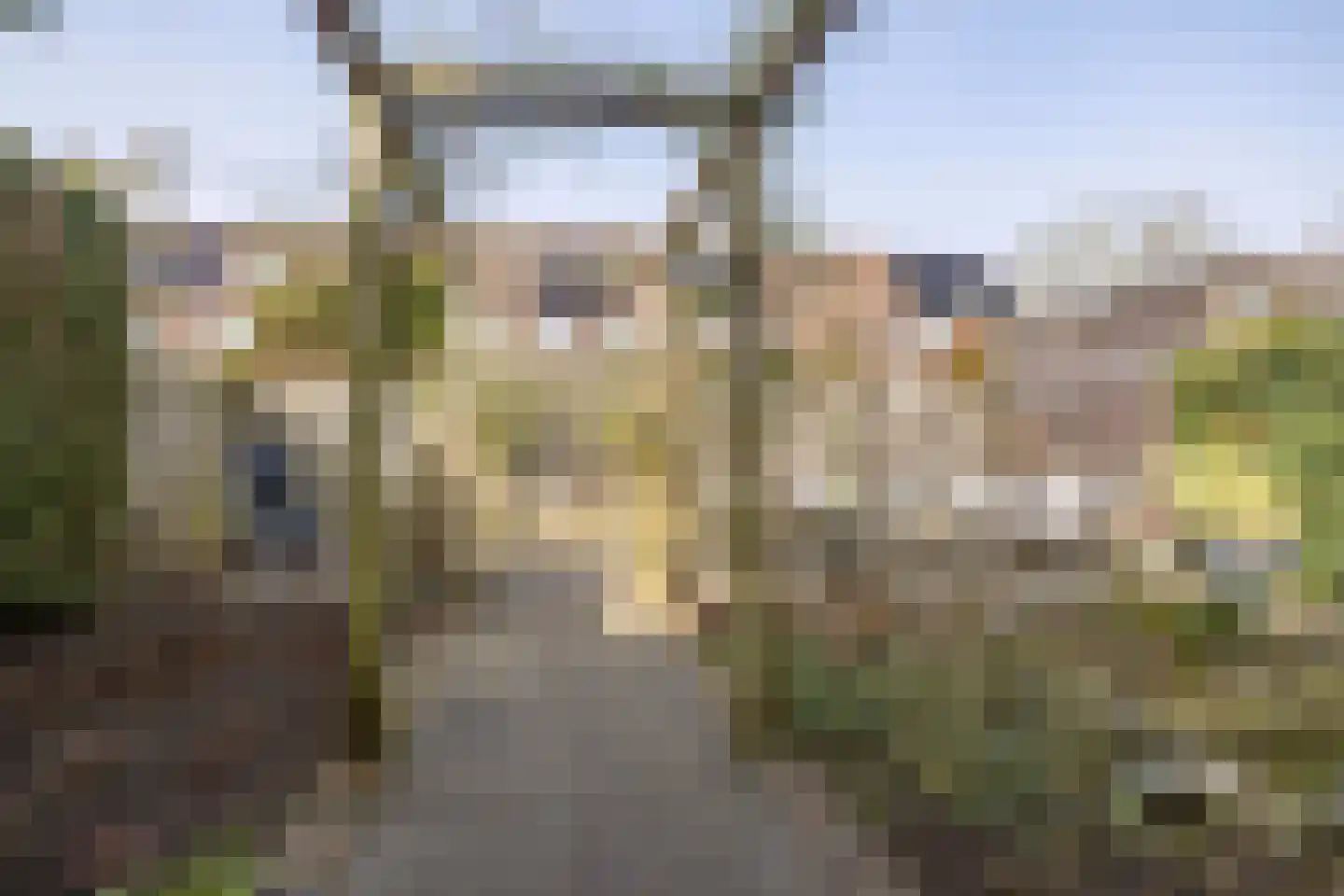 Tabaksweg 51 Elst Ut thumbnail 42