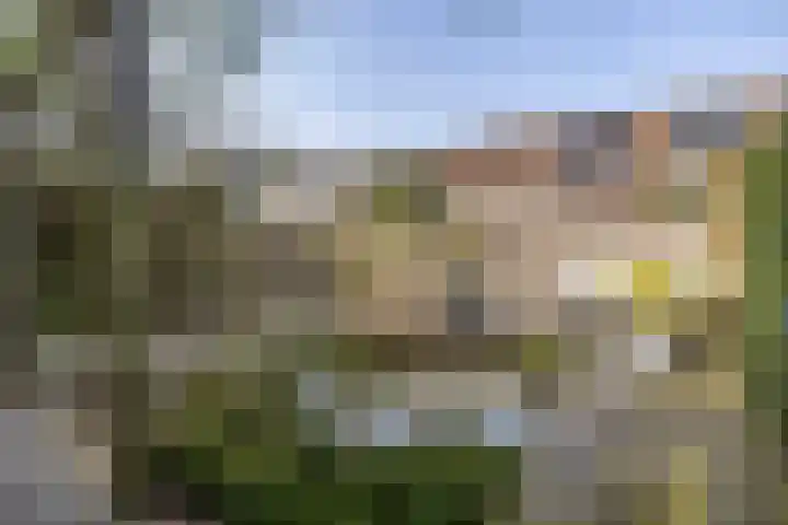 Tabaksweg 51 Elst Ut thumbnail 44