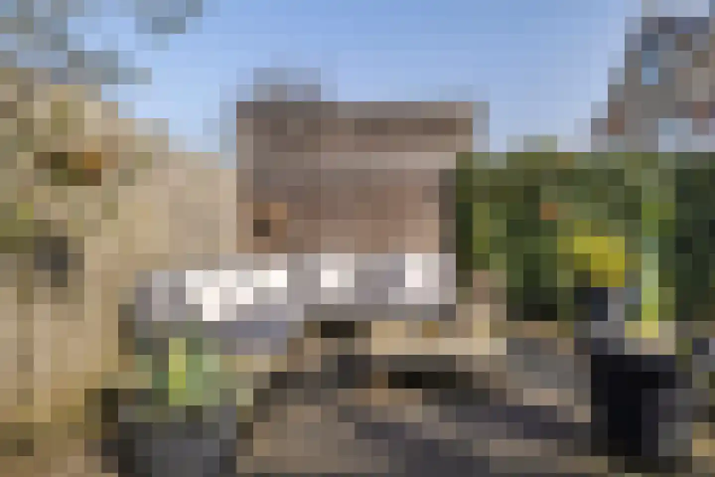 Tabaksweg 51 Elst Ut thumbnail 44
