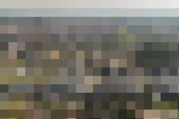 Tabaksweg 51 Elst Ut thumbnail 55