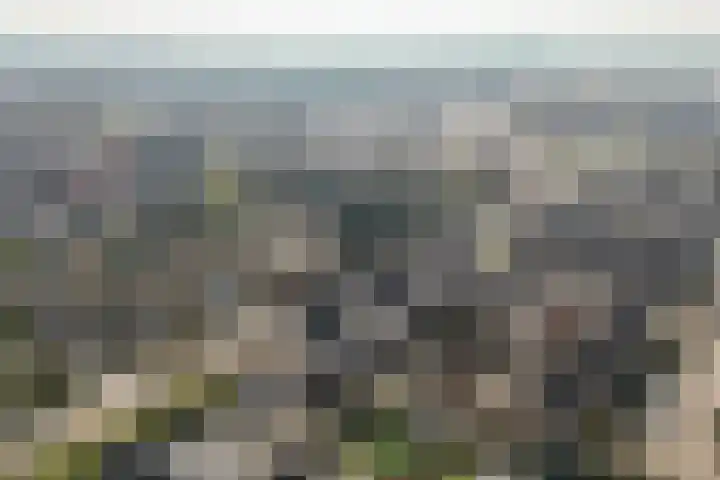 Tabaksweg 51 Elst Ut thumbnail 56