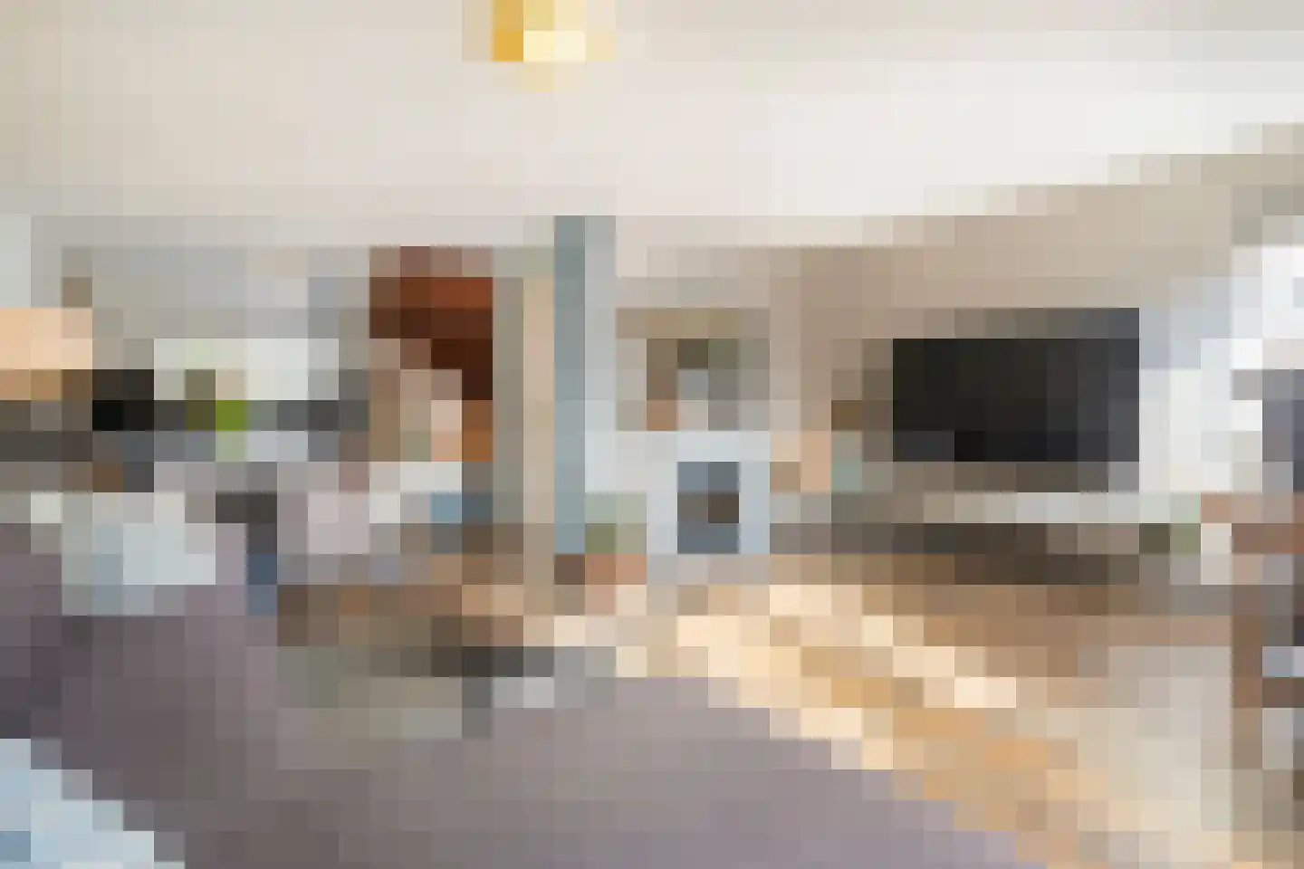 Tabaksweg 51 Elst Ut thumbnail 6