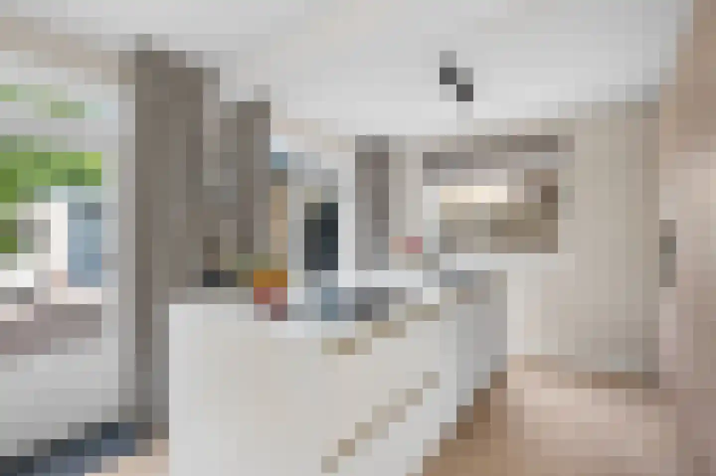 Tabaksweg 6 Elst Ut thumbnail 13
