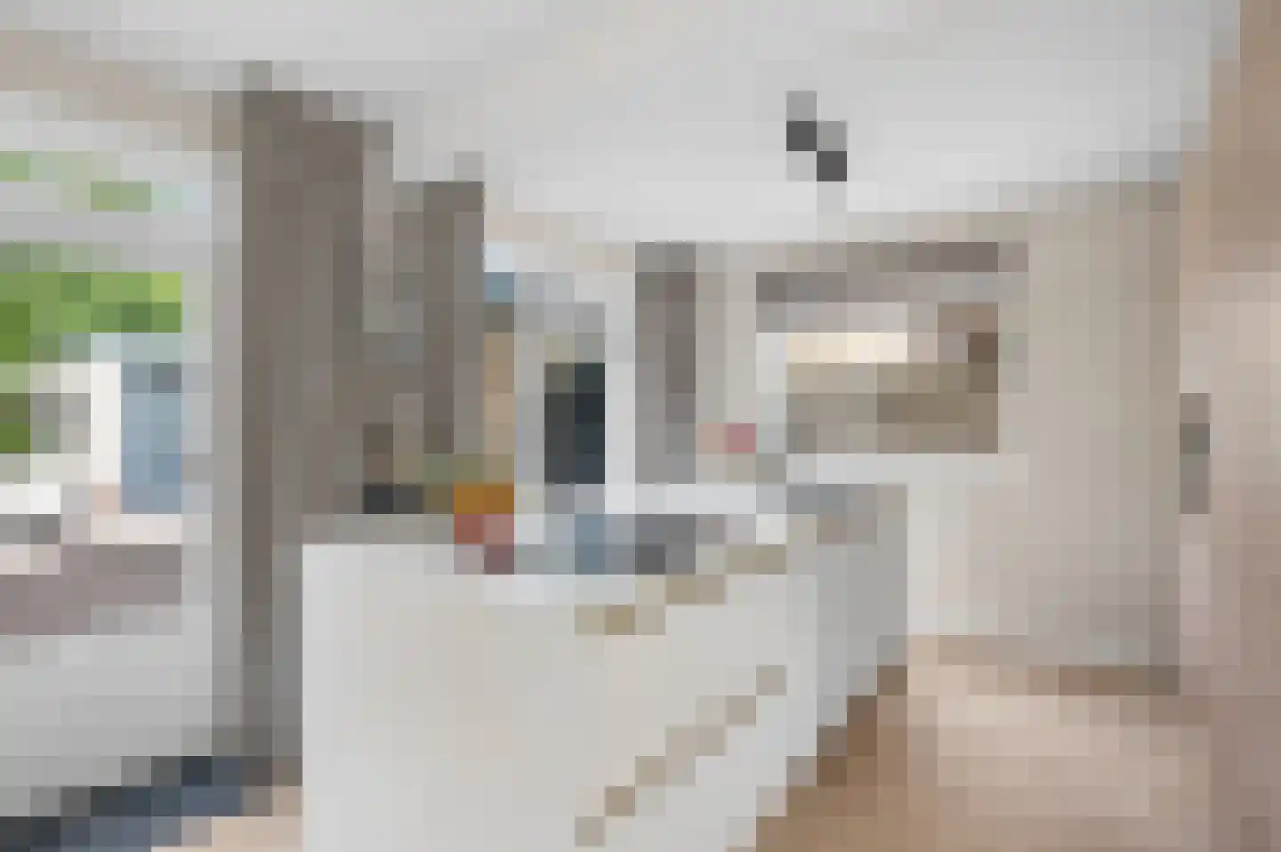 Tabaksweg 6 Elst Ut thumbnail 15