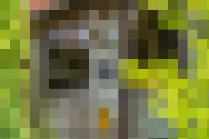 Tabaksweg 6 Elst Ut thumbnail 28