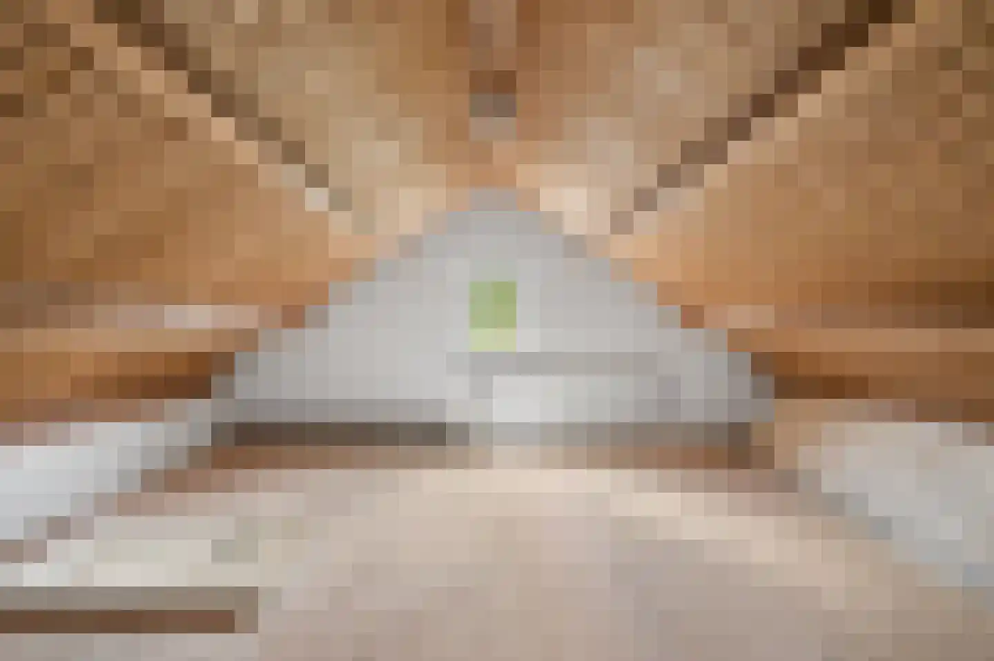 Tabaksweg 6 Elst Ut thumbnail 29