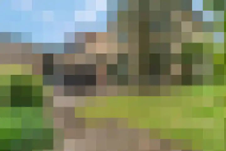 Tabaksweg 6 Elst Ut thumbnail 32