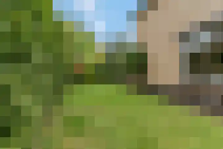 Tabaksweg 6 Elst Ut thumbnail 33
