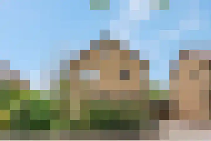 Tabaksweg 6 Elst Ut thumbnail 35