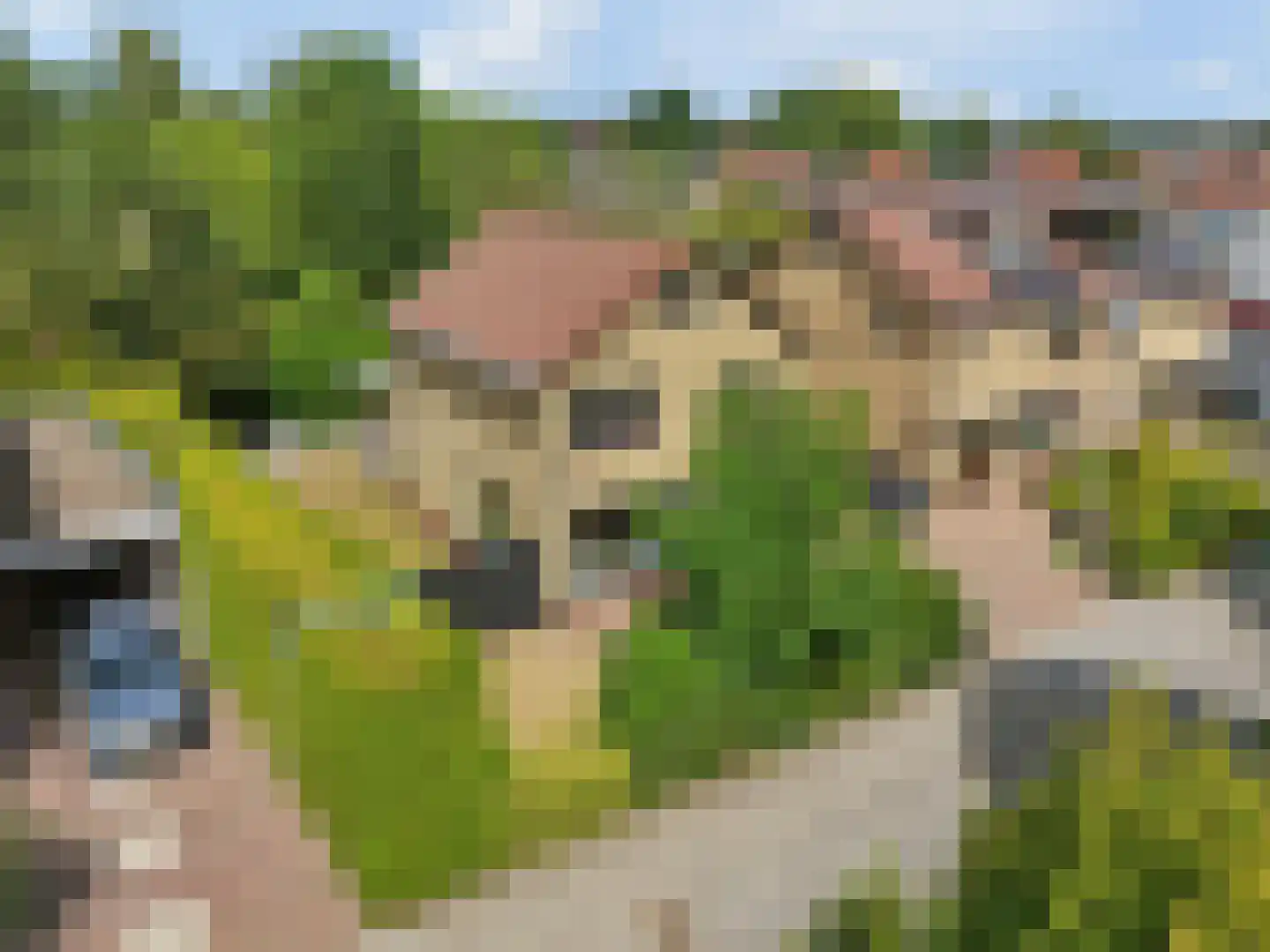 Tabaksweg 6 Elst Ut thumbnail 37