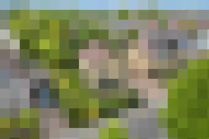 Tabaksweg 6 Elst Ut thumbnail 38