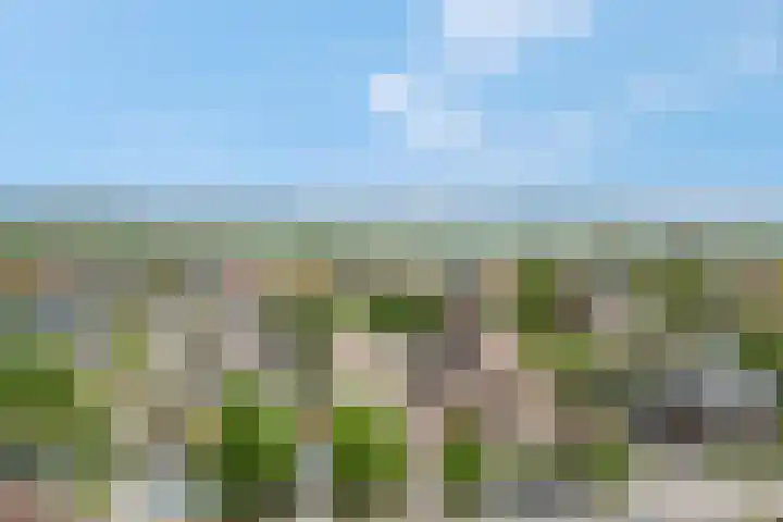 Tabaksweg 6 Elst Ut thumbnail 40