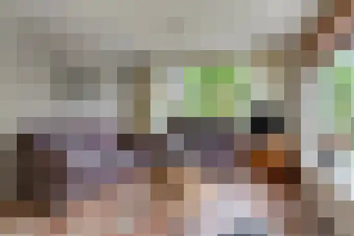 Tabaksweg 6 Elst Ut thumbnail 7