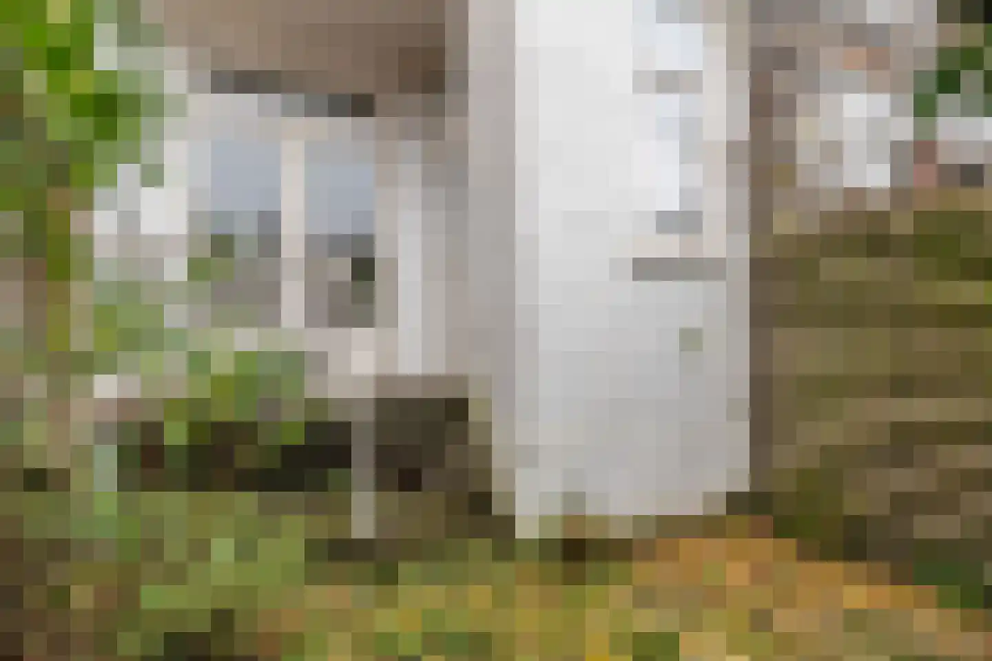 Taborstraat 14 A 02 Rotterdam thumbnail 7