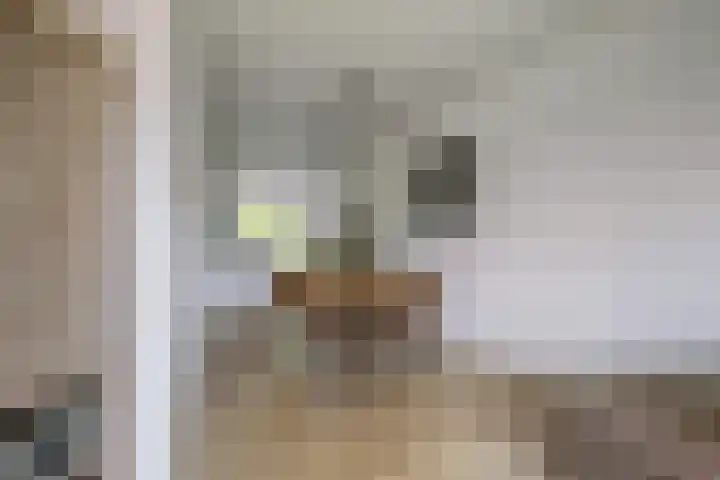 Taborstraat 70 Rotterdam thumbnail 6