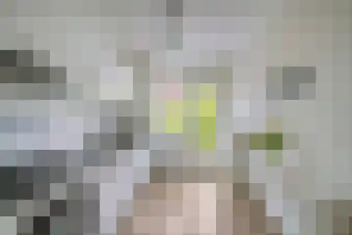 Taborstraat 70 Rotterdam thumbnail 7