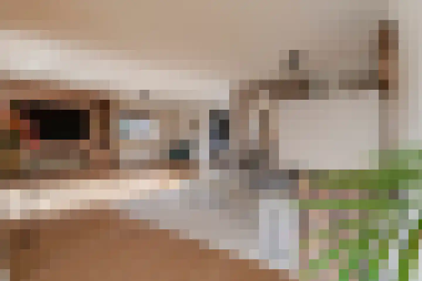 Tacitus 23 Wijk bij Duurstede thumbnail 16