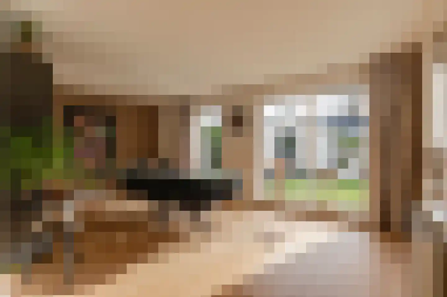 Tacitus 23 Wijk bij Duurstede thumbnail 17