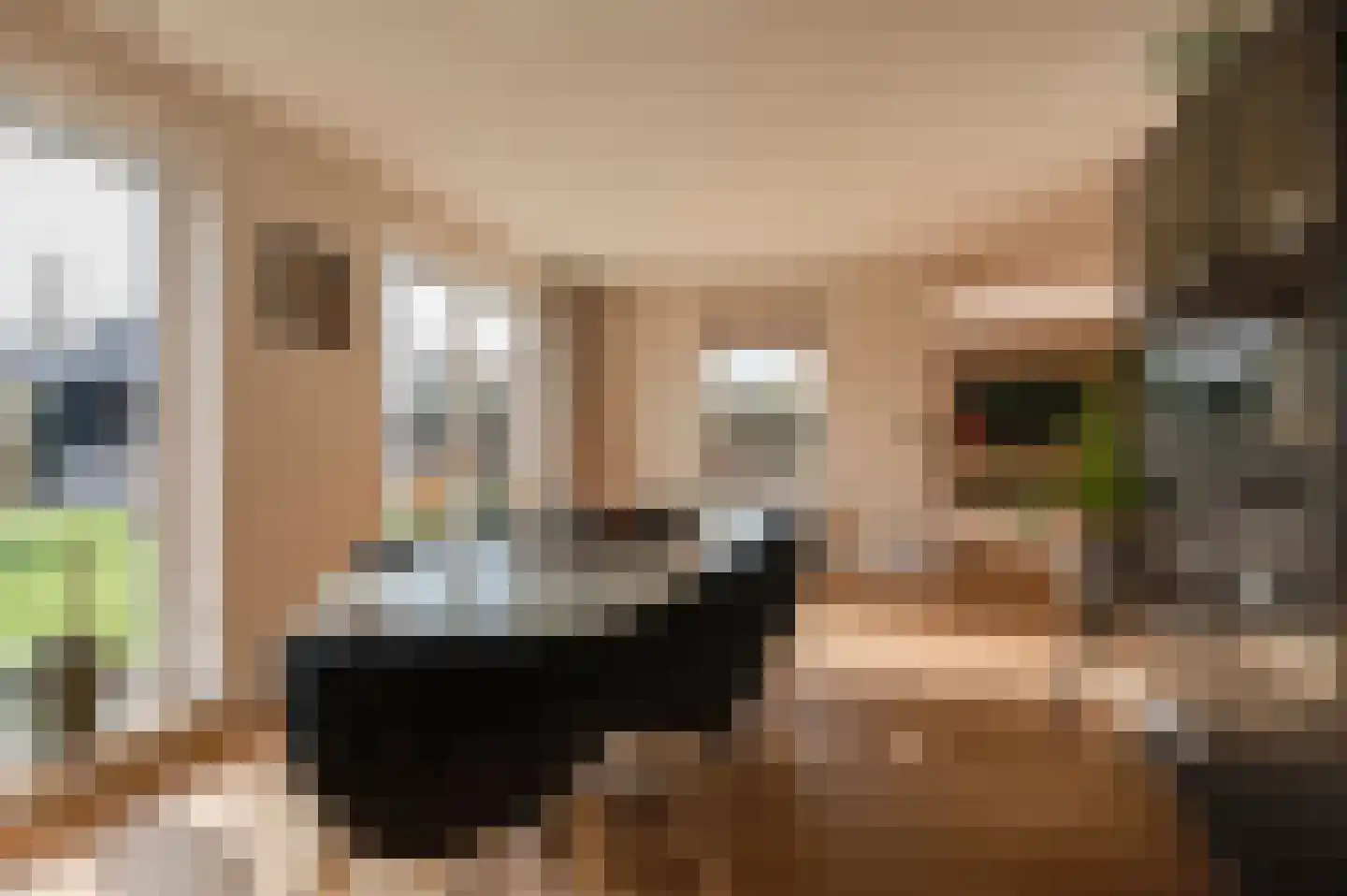 Tacitus 23 Wijk bij Duurstede thumbnail 20