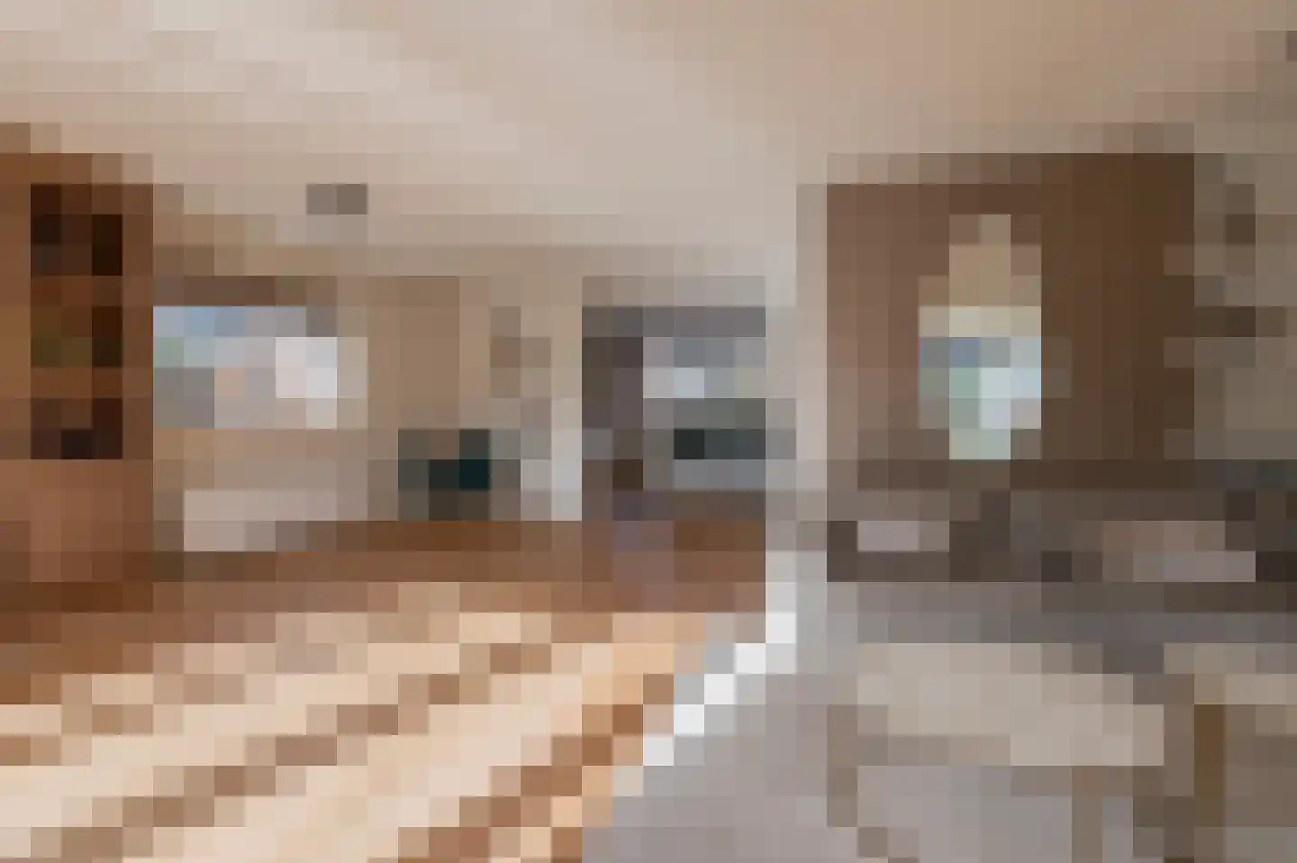 Tacitus 23 Wijk bij Duurstede thumbnail 21