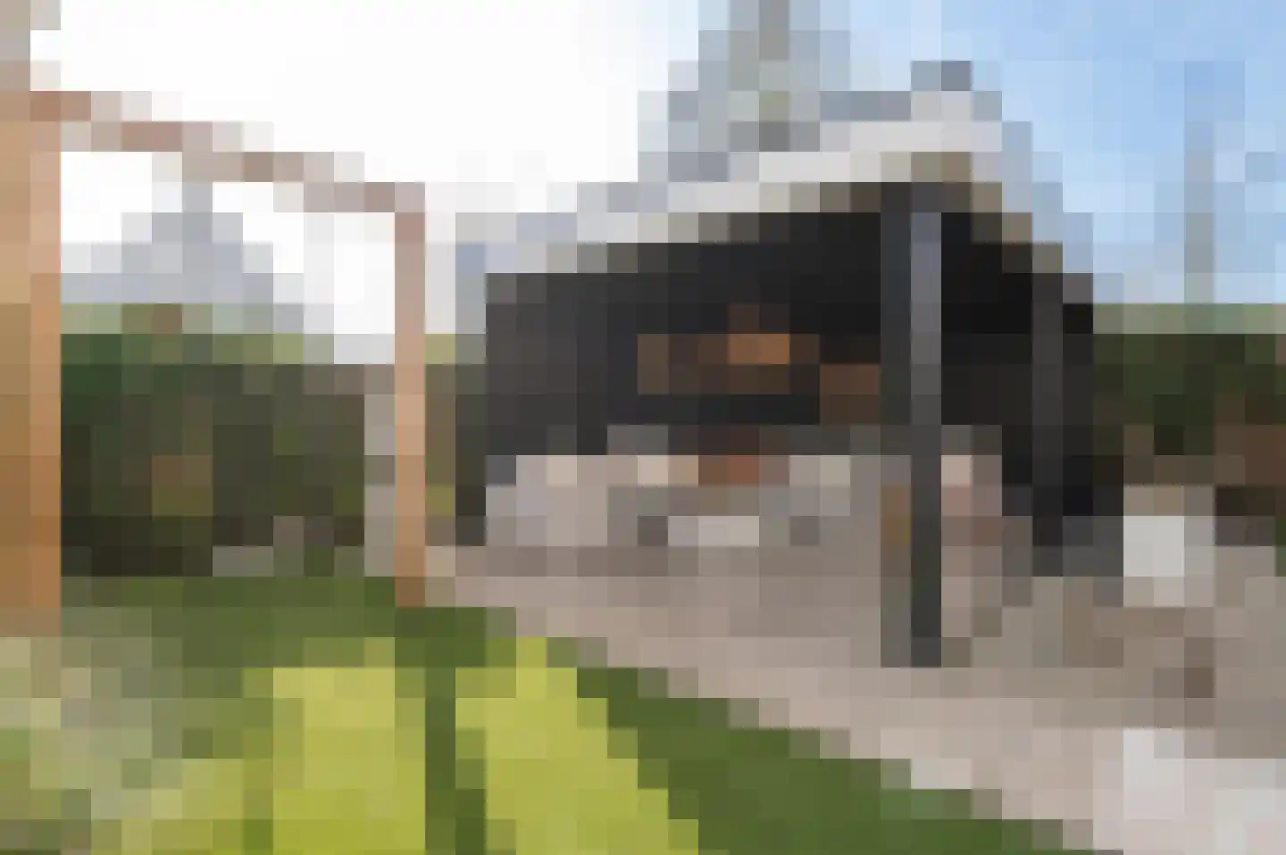 Tacitus 23 Wijk bij Duurstede thumbnail 29