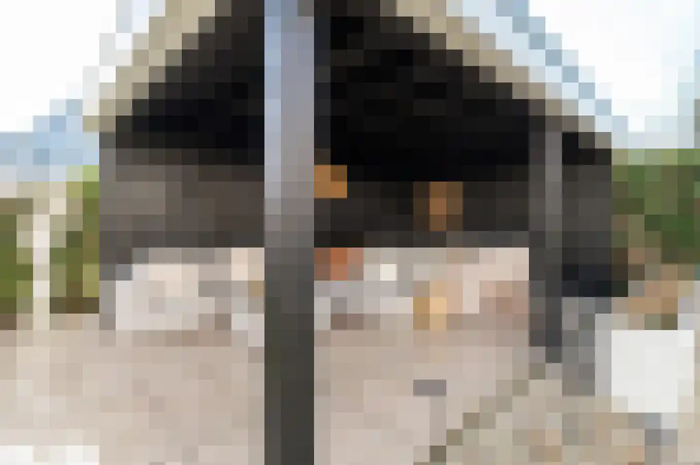Tacitus 23 Wijk bij Duurstede thumbnail 30