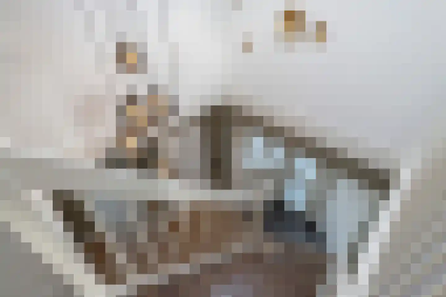 Tacitus 23 Wijk bij Duurstede thumbnail 36