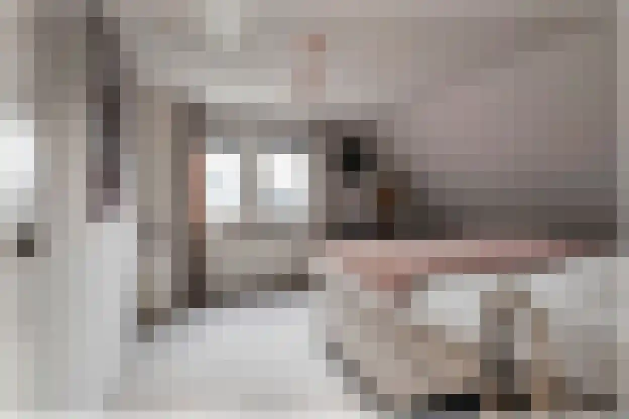 Tacitus 23 Wijk bij Duurstede thumbnail 42