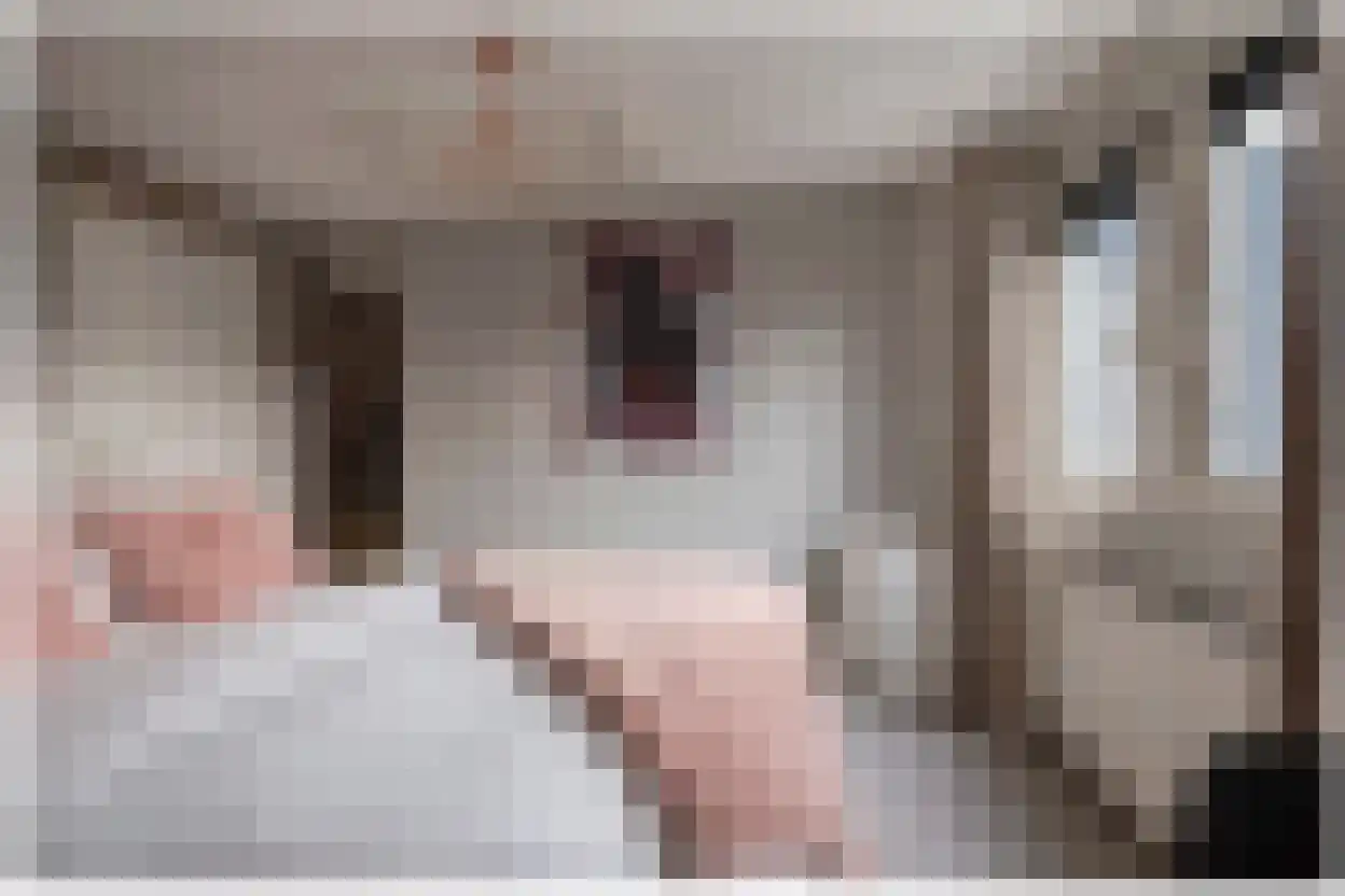 Tacitus 23 Wijk bij Duurstede thumbnail 43