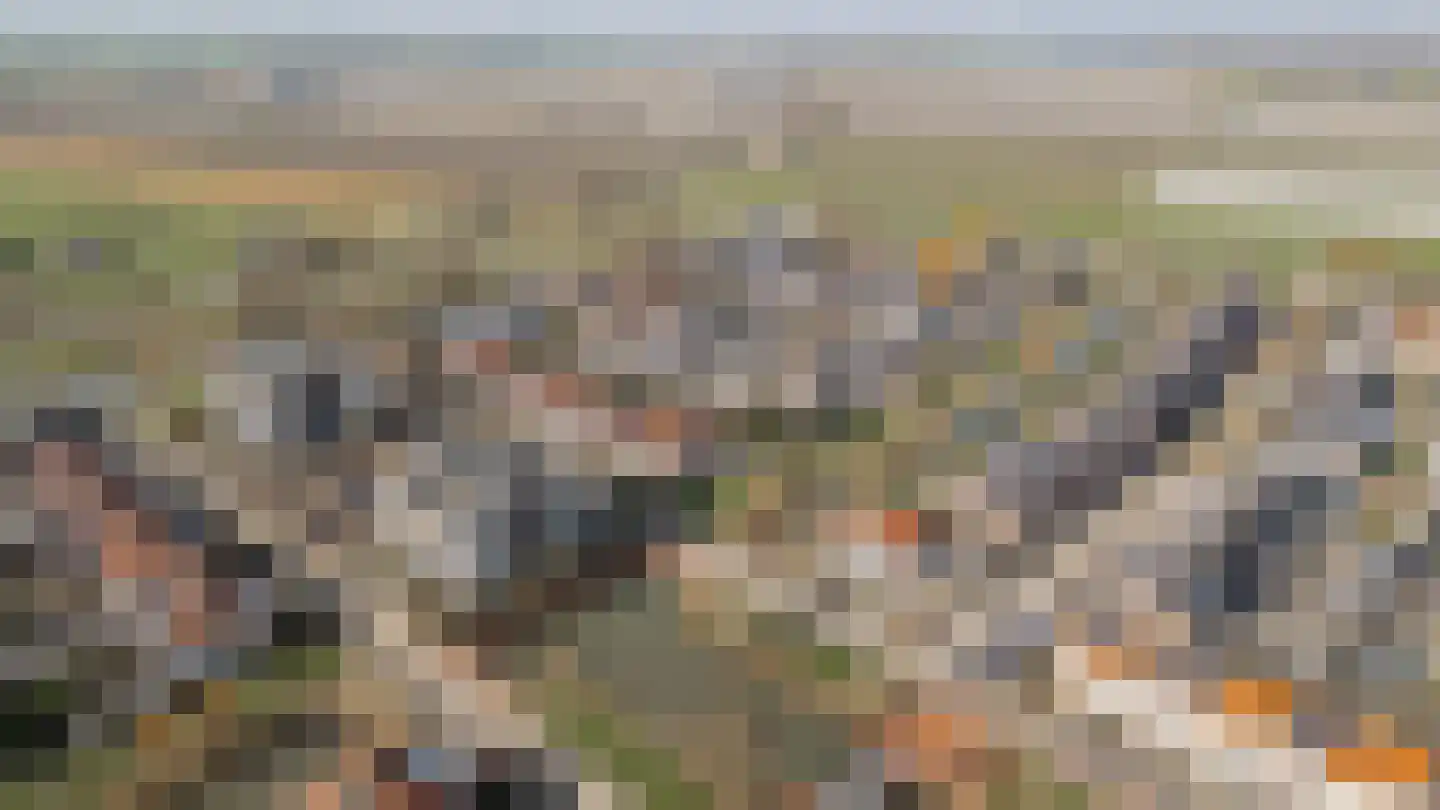 Tacitus 23 Wijk bij Duurstede thumbnail 62