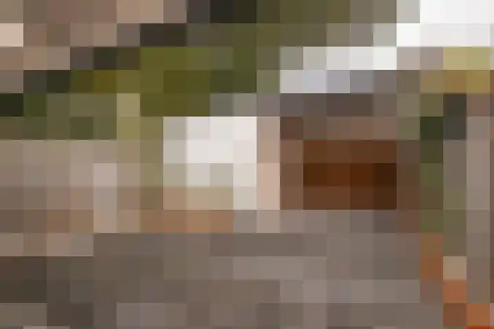 Tacitushof 15 Maastricht thumbnail 17