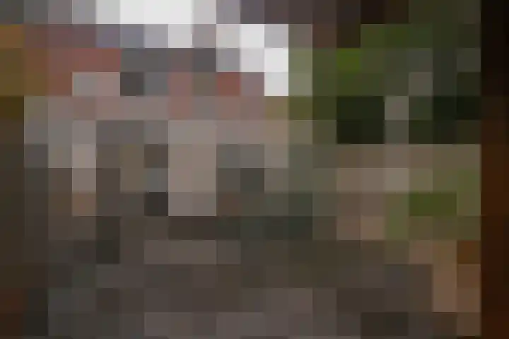 Tacitushof 15 Maastricht thumbnail 18