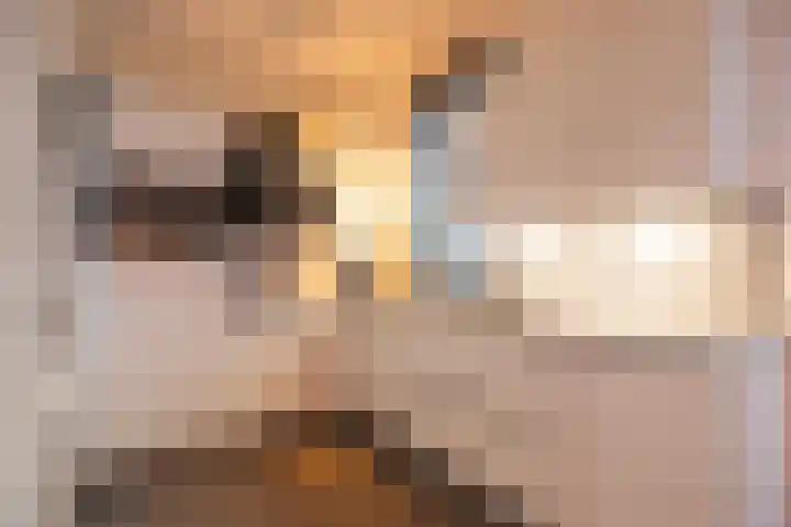 Tacitushof 15 Maastricht thumbnail 4