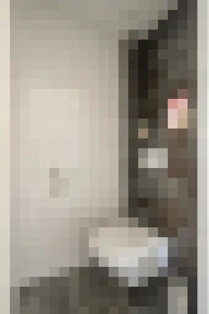 Tacitushof 15 Maastricht thumbnail 8