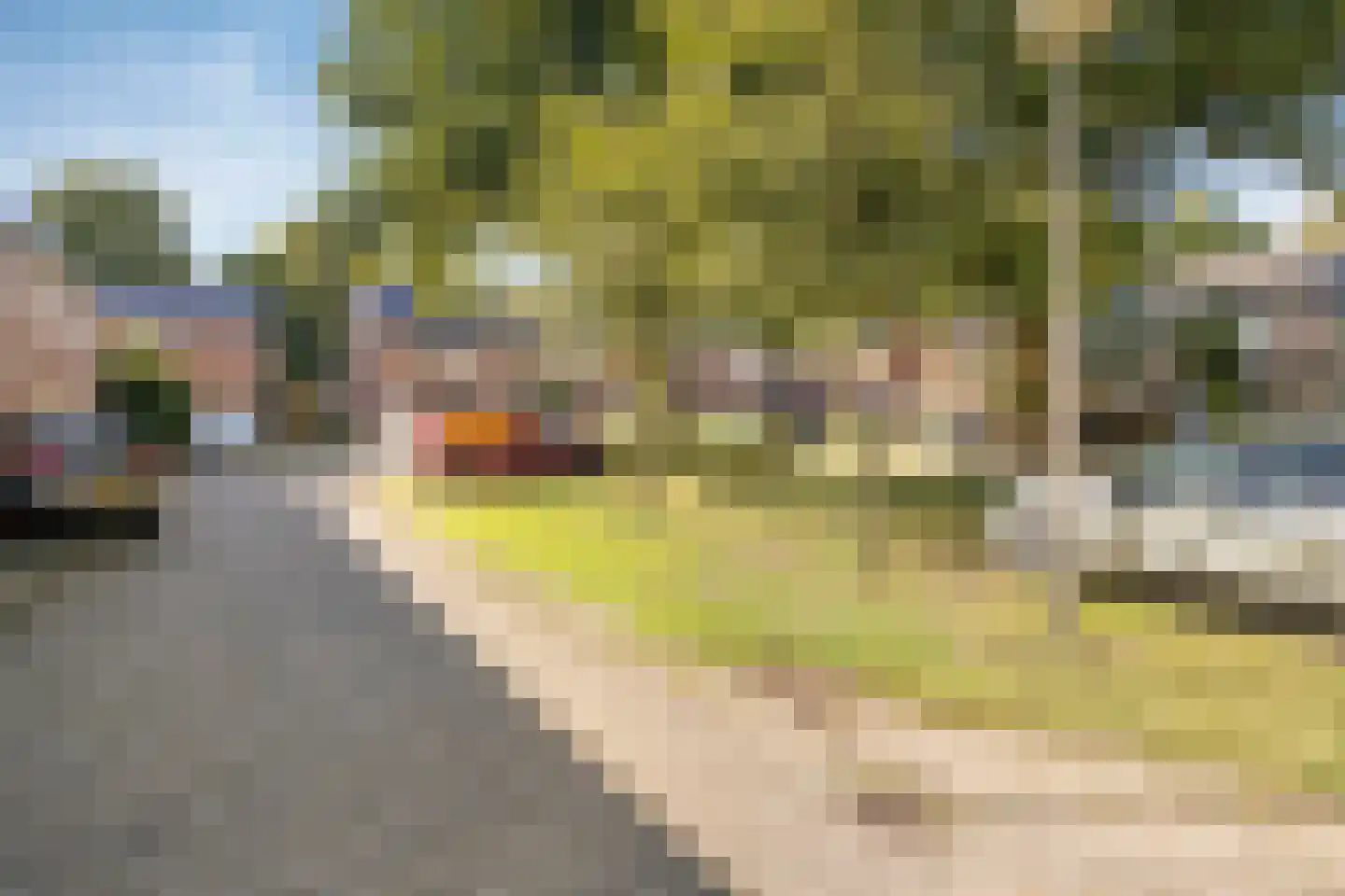 Tacitushof 21 Maastricht thumbnail 39